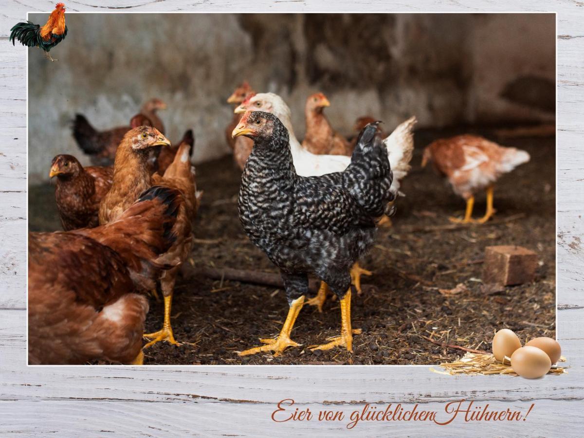 Fewo-Egger-Thalmann فيرجن المظهر الخارجي الصورة